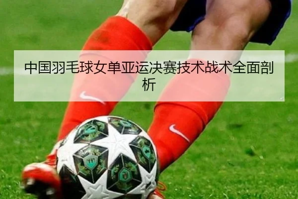 中国羽毛球女单亚运决赛技术战术全面剖析（QYHSPORTS）